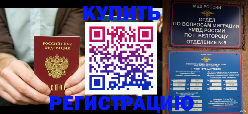 прописка 2025 в Михайлове